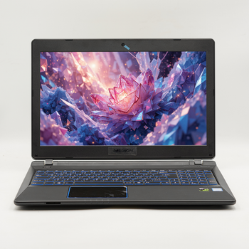 Ігровий ноутбук15,6'' Medion (Lenovo Group) Erazer P6689 Intel Core i5-8250U RAM 8 ГБ SSD 512 ГБ + HDD 1.5 ТБ Nvidia GTX 1050 Win10 (4537)