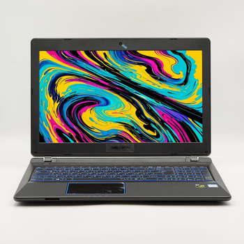 Ігровий ноутбук15,6'' Medion (Lenovo Group) Erazer P6689 Intel Core i5-8250U RAM 8 ГБ SSD 256 ГБ + HDD 1.5 ТБ Nvidia GTX 1050 Win10 (4520)