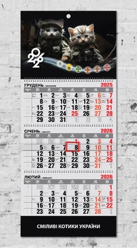 Календар настінний квартальний на 2026 рік на 3 пружини - "Сміливі котики України"