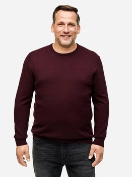 Джемпер мужской s.Oliver 182393 4XL Фиолетовый (LV2200004839547)