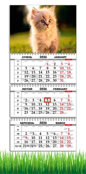 Календарь настенный квартальный на 2026 год на три пружины, Apriori , Кот , Котик ,29,7х61см