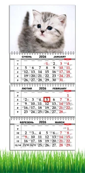 Календар настінний квартальний на 2026 рік на три пружини , Apriori , Сірий Кіт , Котик , 29,7х61см , 2 вид