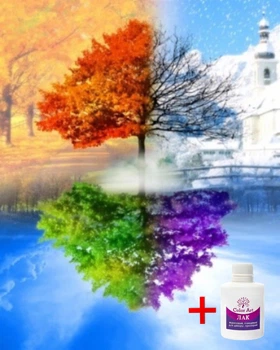 Алмазна мозаика на подрамнике ColorArt 40х50 Время года SPP038 + Подарок лак для покрытия