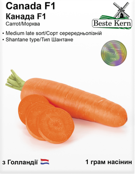 Морква Канада F1 (Bestе Kern) 1 г.