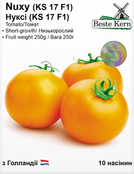 Томат Нуксі F1 (Beste Kern) 10шт.