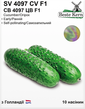 Огірок СВ 4097 ЦВ F1 (Bestе Kern) 10 шт.