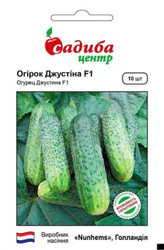 Огірок Джустіна F1 10 шт.