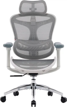 Крісло офісне SIHOO DORO C300L Mesh White (DORO-C300L-A3-102)