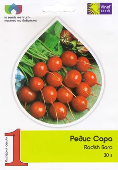Насіння редиски Сора 30 г, Vinel' Seeds