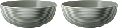 Набір мисок Seltmann Weiden Beat Color Glaze сірий 20 см 2 шт (ZES4052212109411)