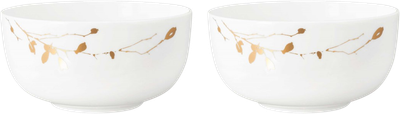 Набір мисок Seltmann Weiden Liberty Golden Rose Hip 17.5 см 2 шт (ZES4052212122991)