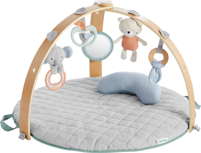 Розвиваючий килимок Ingenuity Cozy Spot (12126) (074451121263)