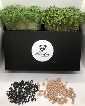 Набір для вирощування мікрозелені Panda microgreen Black на 10 врожаїв