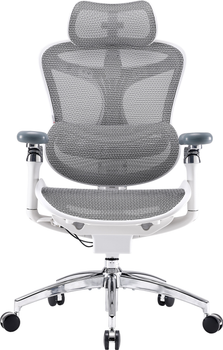 Fotel biurowy SIHOO DORO C300 Pro Mesh White (DORO-C300-PRO-M102)