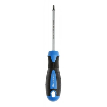 Викрутка Torx T25 длина 100 мм материал S2 Hogert для профессионального использования (HT1S056)