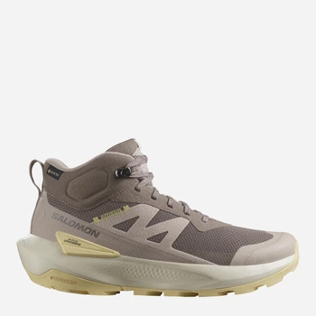 Жіночі демісезонні черевики низькі для туризму з Gore-Tex Salomon Elixir Activ Mid Gtx W L47760600 41.5 (10US/7.5UK) 26 см Iron/Ethere (195751895446)
