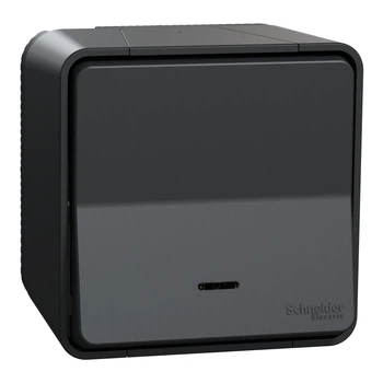 Кнопочный выключатель Schneider Electric Mureva Styl с подсветкой IP55 чёрный MUR35028