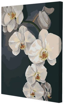 Картина по номерам Riviera Blanca Орхидеи 40x50 см (RB-0778) (4820607010082)