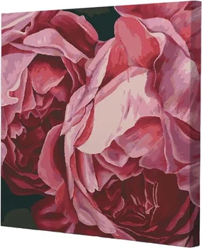 Картина по номерам Riviera Blanca Цветущие пионы 40x40 см (RB-0911) (4827910095317)