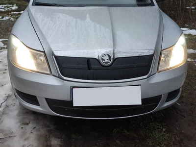 Skoda Octavia II A5 (2010-2013) матовая зимняя накладка на верхнюю решетку