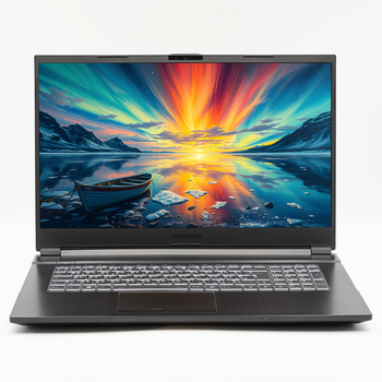 Ігровий ноутбук 17,3" Medion (Lenovo Group) Erazer Defender P10 Intel Core i7-10750H RAM 32 ГБ SSD 1 ТБ Nvidia GTX 1660 Ti, 6 ГБ Win10 б/в (4602)
