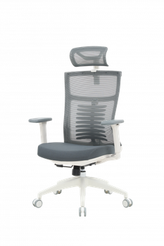 Крісло офісне OfficePro Balance oc550-w-dg-dg