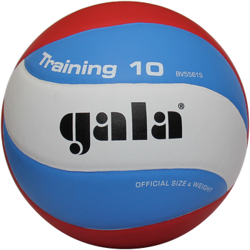 Мяч волейбольный Gala Training 10 BV5567S