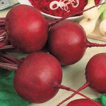 Свекла Кадет Satimex Садиба 10 г
