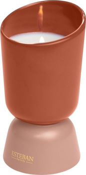 Свічка Esteban Iconic Color Teck&Tonka 220 г (3660963107498)