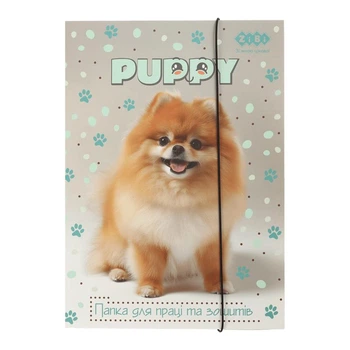 Папка для труда и тетрадей картонная на резинке ZiBi Dog A4 (ZB.14940-22)