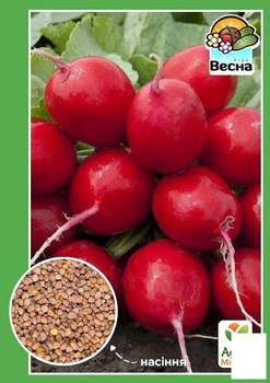 Редис "Гігант" Agro-Market 2г (10353)