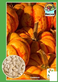 Тыква "Сладкий пирог" (Новый пакет) Agro-Market 2г (23236)