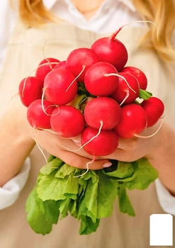 Редис "Адель" (в банке) Agro-Market 20г (177895)