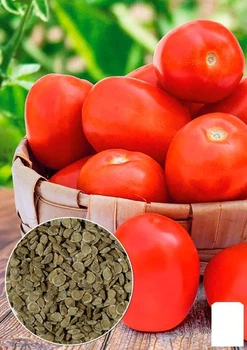 На развес Томат "Зореслав" Agro-Market цена за 1г (178412)