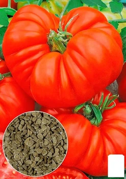 На развес Томат "Японский краб" Agro-Market цена за 1г (178277)