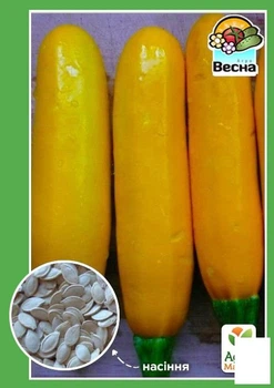 Кабачок-цуккини "Атена F1" Agro-Market 2г (21716)