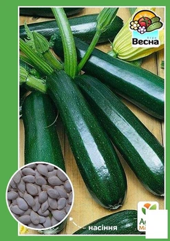 Кабачок "Нефрит" (Новый пакет) Agro-Market 2г (21747)