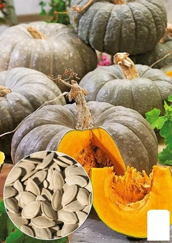 Тыква "Серый чемпион" (Зипер) Agro-Market 8г (177911)