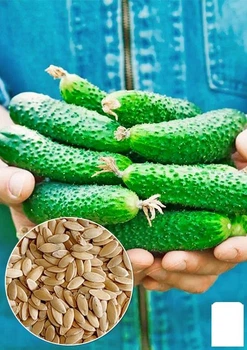Огурец "Аист" Agro-Market 0,5г (10487)