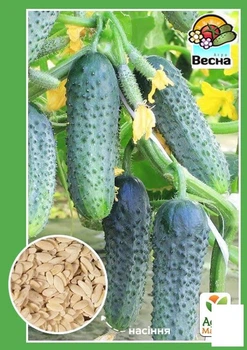 Огурец "Кустовой" Agro-Market 0.5г (10585)