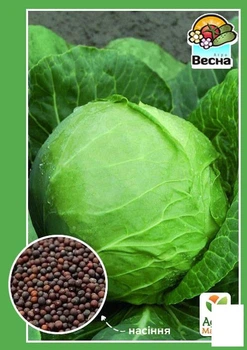 Капуста "Червнева" Agro-Market 0.5г (10291)