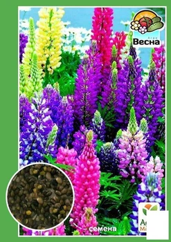 Люпин многолетний Agro-Market 0.4г (16318)