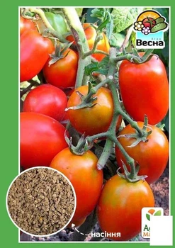 Томат "Фитофтороустойчивый" Agro-Market 0.2г (17905)