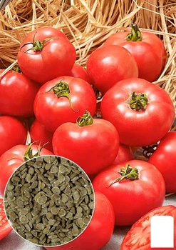 На развес Томат "Шанс" Agro-Market цена за 1г (178275)