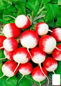Редис "Ніколь" (у банку) Agro-Market 20г (177894)