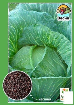 Капуста пізня "Ольга" Agro-Market 0.5г (20667)