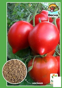Томат "Примадонна" (Новый пакет) Agro-Market 0.1г (23225)