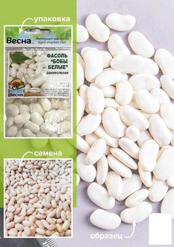 Квасоля "Боби білі" (Зіпер) Agro-Market 5г (23935)