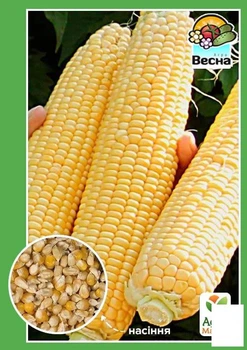 Кукурудза "Дитячий делікатес" (Новий пакет) Agro-Market 7г (21744)
