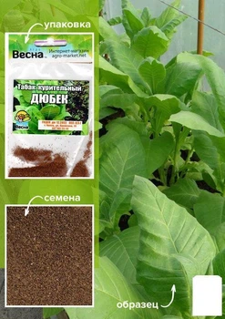 Насіння Тютюн курильний "Дюбек" (Зіпер) Agro-Market 0.5г (46308)